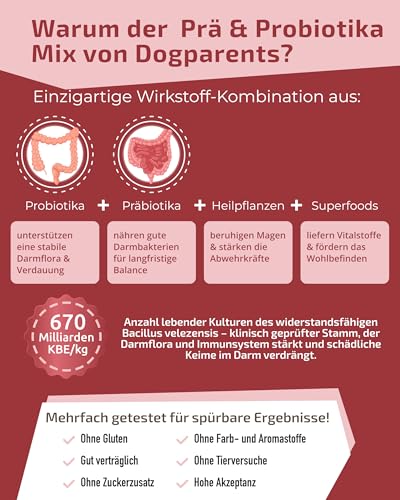 Prä & Probiotika Hund [MADE IN GERMANY, ZUCKERFREI & LABORGEPRÜFT] Darmkur mit 670 Mrd. KBE & Präbiotika – stärkt Darmflora & Verdauung – ideal nach Wurmkur, Grasfressen & Sodbrennen (180g (1er Pack))
