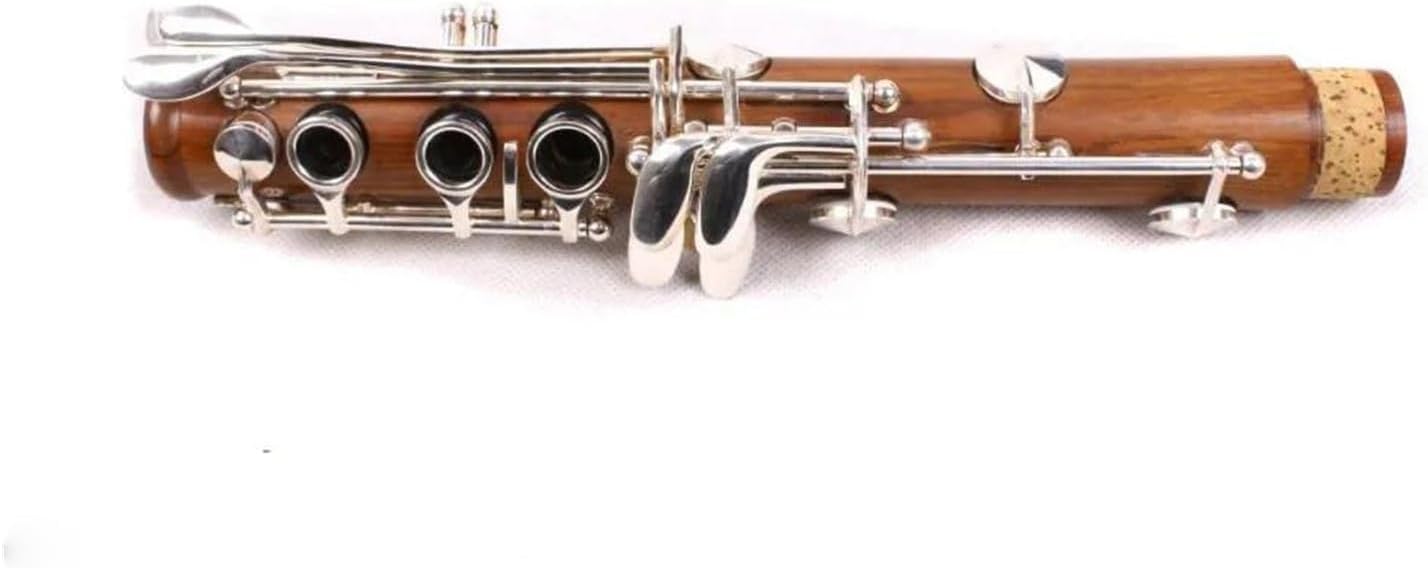 B Flat Clarinet Bb Clarinet 17 key