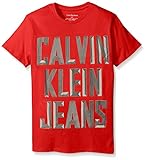 Calvin Klein Big Boys' Slogan Crew Neck Short Sleeve, Fireside, Large