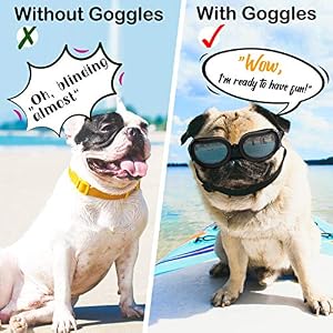 Pawaboo Dog Sunglasses, Small Dog Goggles with Adjustable Band, Waterproof Windproof Snowproof Cool Glasses for Puppy and Cat, Black Pawaboo Dog Sunglasses, Small Dog Goggles with Adjustable Band, Waterproof Windproof Snowproof Cool Glasses for Puppy and Cat, Black