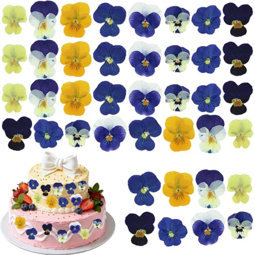 40 Piezas 8 Tipos de Flores Naturales Prensadas, Decoración Pasteles de Colores, Flores Secas para Manualidades - Violetas Tricolor Mixtas para Cócteles, Joyería Resina, Proyectos DIY
