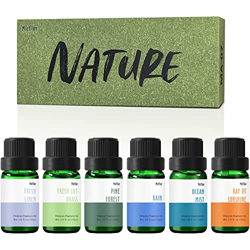 Fragrance Oil, Mitflor Nature Set Of Scented Oils For Soap & Candle Making, Essential Oils For Diffusers For Home, Natural Aromatherapy Oil Gift Set, Ocean Mist, Rain, Pine Forest And More, 6X10Ml #TOP30