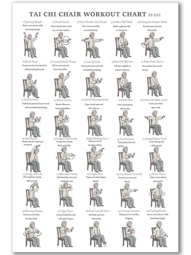 Tai Chi Chair Workout Chart Poster Print Seated Exercises for Beginners and Seniors Canvas Wall Art Home Gym Living Room Decor 12x18 Inch Unframed A