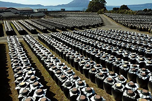 [Sakamoto Kurozu] Original Artisan Amber Brown Rice Vinegar, Fermented, Mild And Rich Taste, 12 Ounce (Product Of Japan) #TOP4
