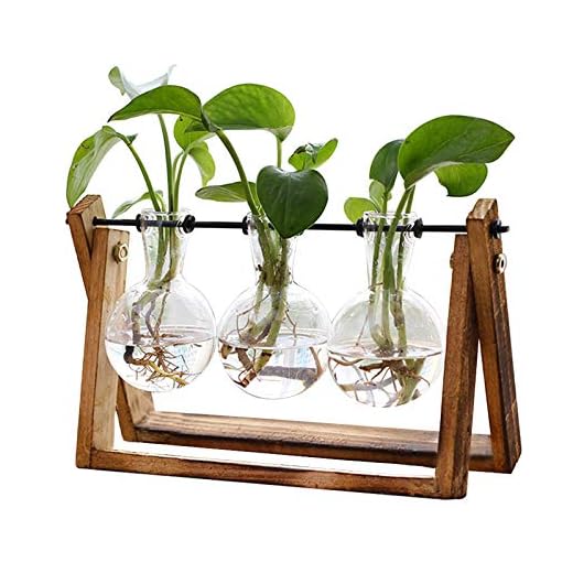 XXXFLOWER Plant Terrarium with Wooden Stand, Air Planter Bulb Glass Vase Metal Swivel Holder Retro Tabletop for Hydroponics Home Garden Office Decoration - 3 Bulb Vase