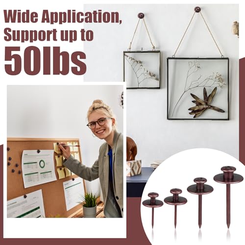 Image of Zhengmy 40 Pcs Double Headed Picture Hangers Nails 4 Size Long Thumb Tacks Wall Nails for Hanging Pictures Decorative Push Pins Hooks for Drywall Photo Office Home Decor, 20 /30 / 40 / 50lb (Copper)