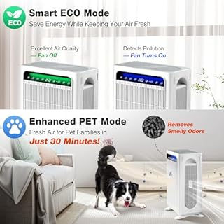 KNKA APH4000 Purificateur d'air pour chambre à coucher, grande pièce jusqu'à 500 m², filtre à air HEPA avec préfiltre lavable, vérificateur AHAM, affichage AQI, mode écologique, mode animal de