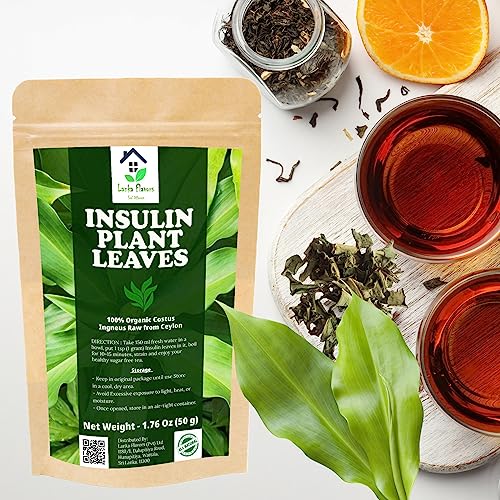 Dried-Insulin-Plant-Leaves-176-oz-50g-Natural-Costus-Igneus-Organic-Herbal-Tea-For-Sugar-free-and-Controls-Sugar-with-50-Cups--Lanka-Flavors-Feel-Different