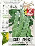 Seed Needs Cucumber Seeds for Planting Armenian Yard Long Cucumbers - Heirloom Non-GMO & Untreated - Snake...