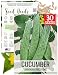 60 Seeds, Cucumber "Armenian Yard Long" (Cucumis sativus) Seeds By Seed Needs