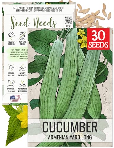 Seed Needs Armenian Yard Long Cucumber Seeds to Plant Heirloom 1 Pack