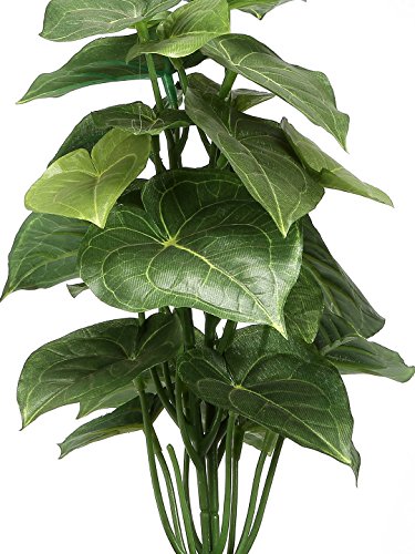 "Bring Nature Indoors with Our Lifelike Jatropha Bonsai - Perfect for Home and Office Décor (28 cm Tall, Green in Ceramic Vase)"