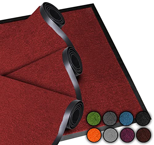 LucaHome, Doormat Entrance Home 60 x 80 cm, Red, 2 Units, Non-Slip Washable Rug for Entrance Kitchen and Hallway