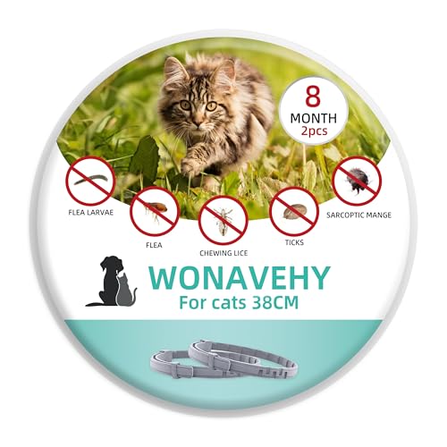 2 Colliers antiparasitaires pour Chats de Plus de 8 kg, élimine Les puces, Les tiques, Les poux et protège du Risque de Transmission, jusqu'à 8 Mois, Taille...