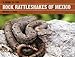 Guide to the Rock Rattlesnakes of Mexico