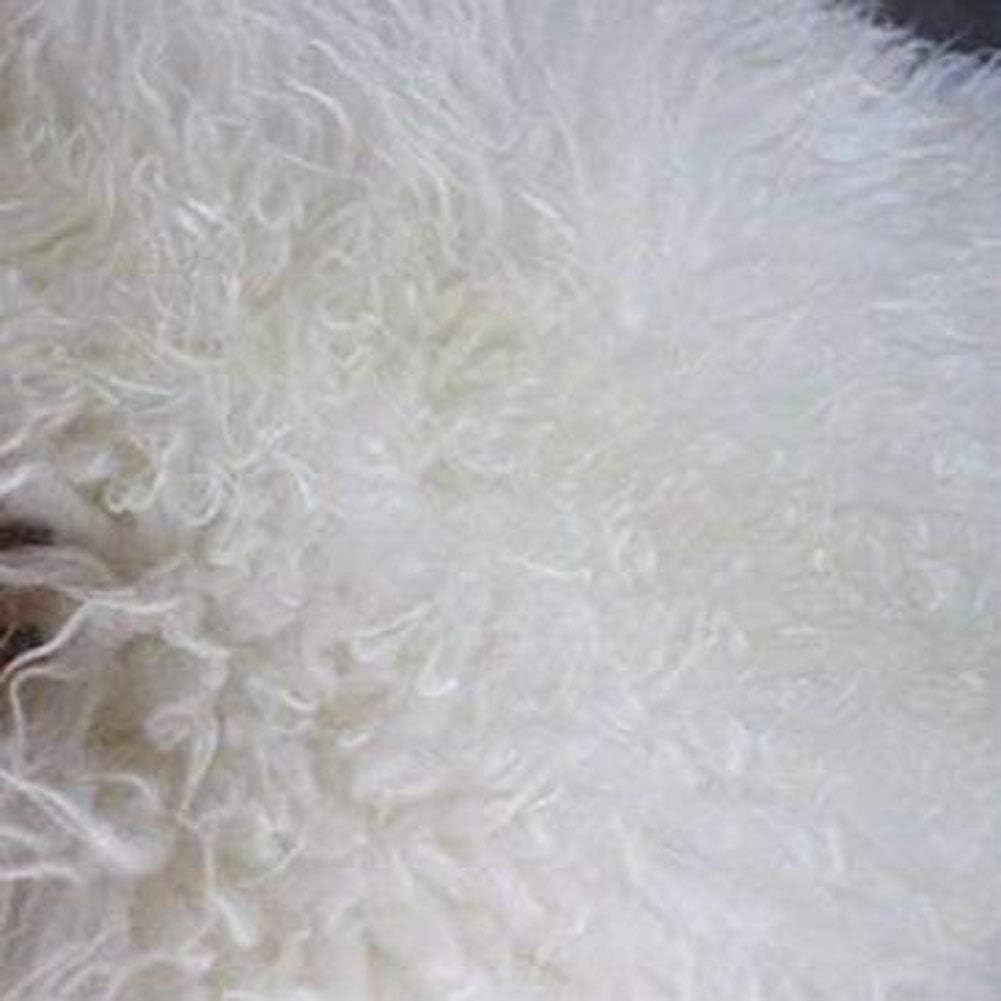 Genuine Tibetan Fur Rug/Ivory White Real Mongolian Sheepskin Hide Pelt Throw Rug Plate Lamb Wool Carpet, 39.5"-41.5" Long