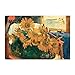 Sunflowers - 12 Blank Note Cards: 12 Blank Cards in 6 Designs with 12 Envelopes in a Keepsake Box