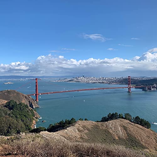 『dfkgjfg』のカバーアート