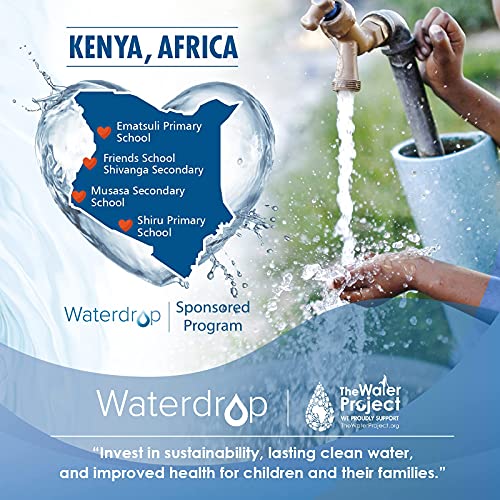 Waterdrop Wf1Cb Replacement For Frigidaire Puresource Wfcb, Rg100, Ngrg2000, Wf284, 9910, 469906, 469910, Refrigerator Water Filter, 3 Filters #TOP6