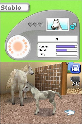 Petz Horseshoe Ranch - Nintendo Ds #TOP4
