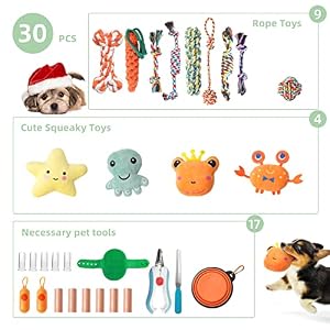 JMZDS&JL 30 Pack Dog Toys, Plush Teething Toys for Puppy, Interactive Squeaky Rope Toys for Small Dogs, Pet Essentials Gift Set JMZDS&JL 30 Pack Dog Toys, Plush Teething Toys for Puppy, Interactive Squeaky Rope Toys for Small Dogs, Pet Essentials Gift Set