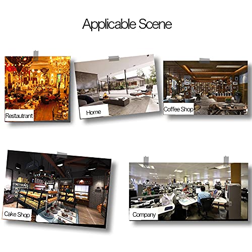 12 Inch Gold Lace Doilies Paper Round Placemats Decorative Doilies Paper Placemat- Eco-Friendly For Cake, Desert, Wedding, Tableware Decoration (100Pcs) #TOP6