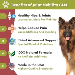 Wholistic Pet Organics Joint Complement: Joint Mobility with Inexperienced Lipped Mussel Day by day Joint Well being Dietary supplements for Canine - Canine Glucosamine Powder with MSM, Probiotics, Nutritional vitamins, Minerals - 4 Lb Wholistic Pet Organics Joint Complement: Joint Mobility with Inexperienced Lipped Mussel Day by day Joint Well being Dietary supplements for Canine – Canine Glucosamine Powder with MSM, Probiotics, Nutritional vitamins, Minerals – 4 Lb
