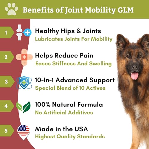 Wholistic-Pet-Organics-Joint-Mobility-GLM-Dog-Joint-Health-Supplement-Glucosamine-Chondroitin-for-Dogs-Arthritis-Pain-Relief-Hip-and-Joint-Support-Green-Lipped-Mussels-for-Dogs-Large-Breed