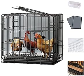 小動物用ケージ - Amazon.co.jp