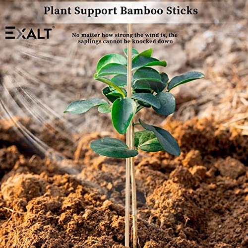 Image of EXALT Premium Natural Teak Wood Plant Support Sticks - Garden Sticks for Straightening Training and Supporting Plants - Strong and Durable Solution for Healthy Growth