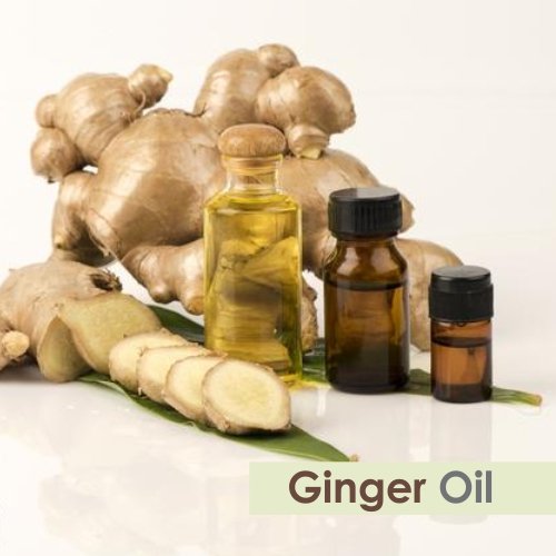 Image of Crysalis Ginger (Zingiber Officinale) 100% Pure & Natural Undiluted Essential Oil Organic Standard /Oil For Dry Scalp And Rough skin /Massage Oil for Face & Body -50ML With Dropper