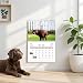 Imagen de Mainiusi Calendario de Perros Caca 2026