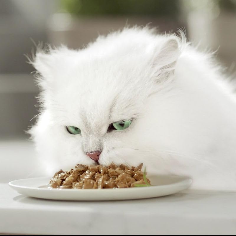 Purina Gourmet A la Carte Comida húmeda para Gatos, Surtido Variado, 12 Unidades (4 Bolsas de 85 g)