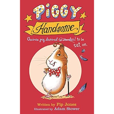 Piggy Handsome: Guinea Pig Destined for Stardom!