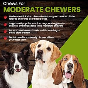 Sancho-Lolas-Bully-Sticks-for-Dogs-6-Inch-Standard-5-count-Moderate-Odor-High-Protein-Grain-Free-Beef-Pizzle-Dog-Chews - Cucciolini Doodles   Sancho-Lolas-Bully-Sticks-for-Dogs-6-Inch-Standard-5-count-Moderate-Odor-High-Protein-Grain-Free-Beef-Pizzle-Dog-Chews