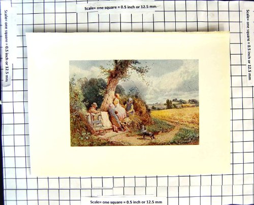 Agricoltura degli Spigolatori di Morland del