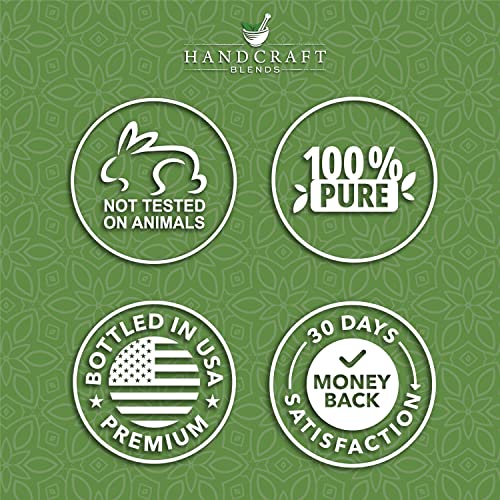 Handcraft Blends ESSENTIAL OILS Rosemary Essential Oil thumb #6