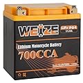 Weize Lithium YTX30L-BS, 700A Lithium LiFePO4 YTX30L Motorcycle Battery, 12V 10AH ATV, UTV, Jet Ski, Scooter, Lawn Mower, Tractor, Generator Battery, Built-in Smart BMS
