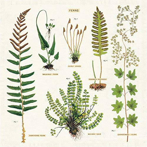 Servilletas de tela Ferns set de 4 miniatura 1