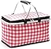 Oxford panno impermeabile isolamento borsa all'aperto picnic portatile borsa pranzo borsa portatile telaio in alluminio pieghevole borsa ghiaccio borsa 29L