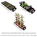 AutoPot Tray2Grow System - Standard Tray2Grow with No Tank - Self-Watering, Gravity-Fed Hydroponic Indoor System, Black