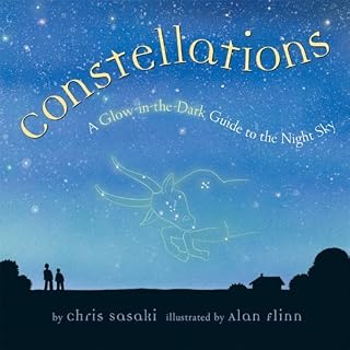 Constellations: A Glow-in-the-dark Guide to the Night Sky