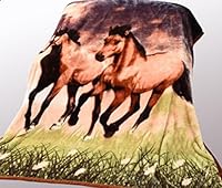 Algopix Similar Product 11 - Hiyoko Thick Twin Horse Blanket Queen