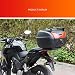 ZZXY Baúl Moto Universal 40L + Llaves y Accesorios Equipaje Caja de...