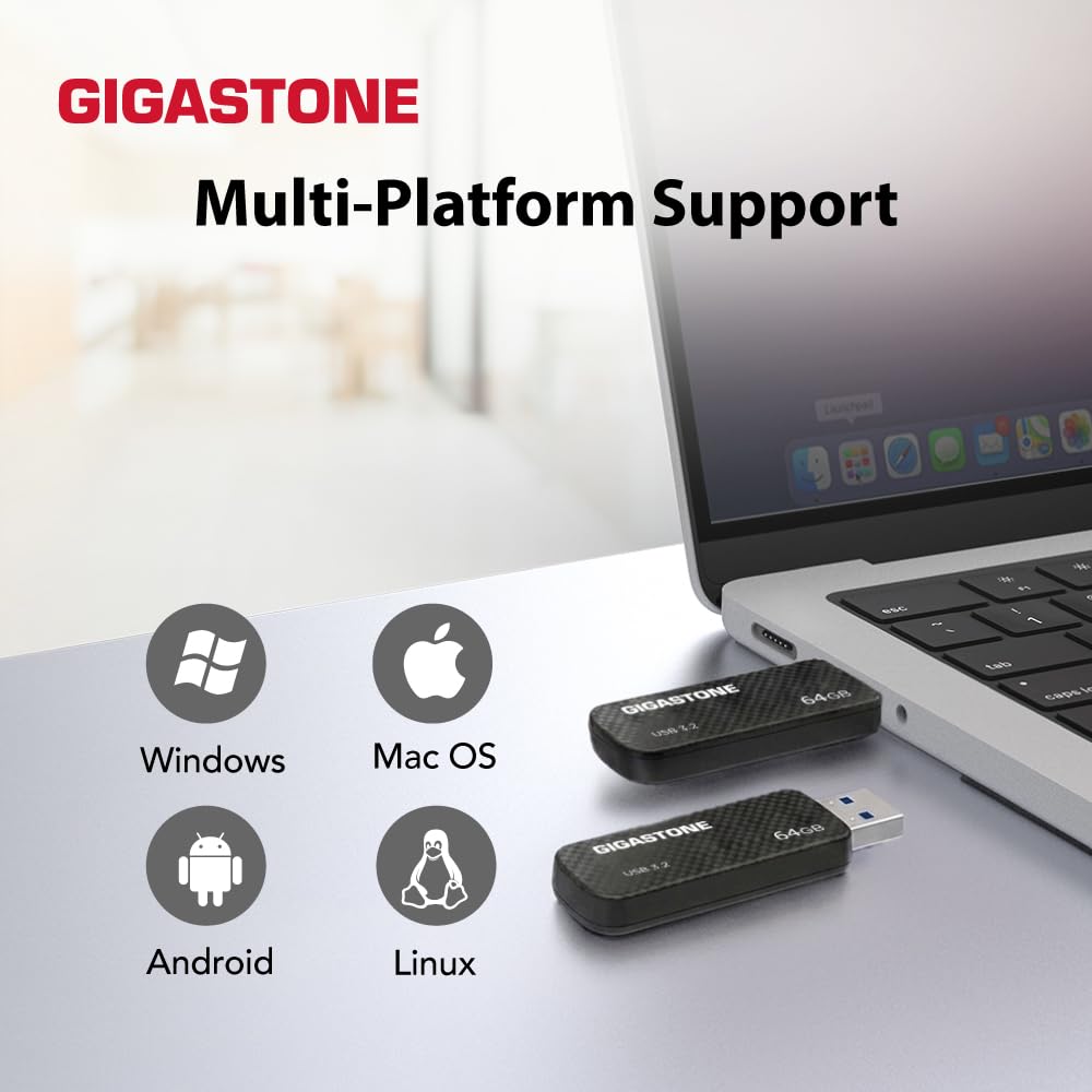 Gigastone Chiavetta USB 64 GB Set da 5, Z30 USB 3.2 Gen 1 Professional Serie, Senza cappuccio con design retrattile, compatibile con interfaccia USB 2.0 / USB 3.0 / USB 3.1