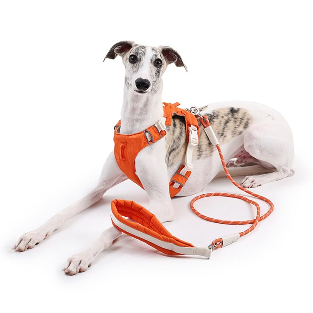 Imbracatura e guinzagli staccabili per cani, regolabile, riflettente, con comoda corda in nylon per la sicurezza delle passeggiate all'aperto