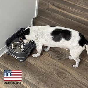 Neater Feeder – Express Model – Mess-Proof Dog Bowls (Small, Gunmetal Grey) – Made in USA – Elevated, No Spill, Non-Tip, Non-Slip, Raised Stainless Steel Food & Water Pet Bowls