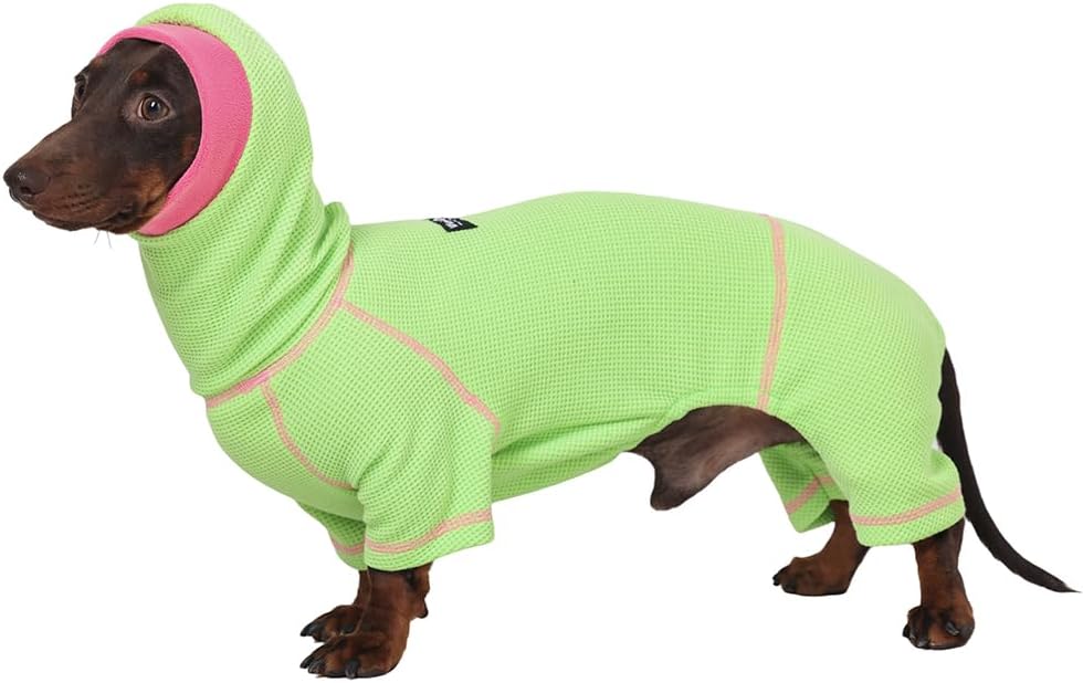 Dachshund Dog Turtleneck Sweater, Waffle Pullover Jumpsuit for mini Dachshunds, Soft 4-Leg Dog Pajamas, Snug Outfit for Long Body Breeds (Green, Small(7-12lbs)) Green Small(7-12lbs)
