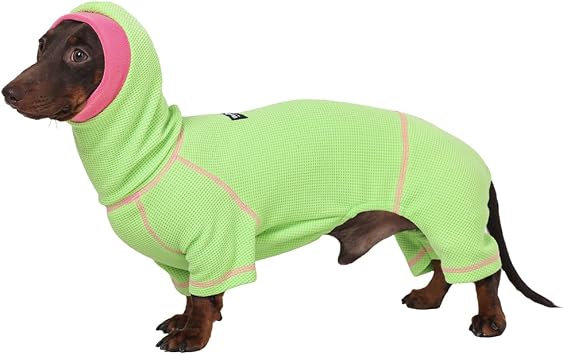 Dachshund Dog Turtleneck Sweater, Waffle Pullover Jumpsuit for mini Dachshunds, Soft 4-Leg Dog Pajamas, Snug Outfit for Long Body Breeds Green, Small7-12lbs