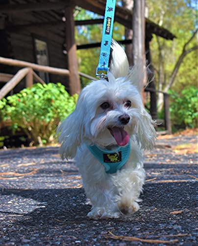 Ecobark Dog Harness - Eco-Friendly Max Comfort Harnesses - Luxurious Soft Mesh Halter - Over The Head Harness Vest- No Pull And No Choke For Small, Toy Breed, And Teacup Dogs (Xs, Baby Blue) #TOP3